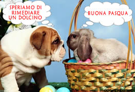 Buona Pasqua