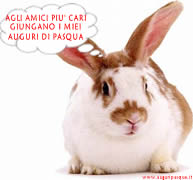 Auguri di buona Pasqua:coniglietto
